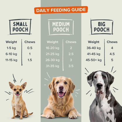 Pawstrong Joint & Mobility Supplement For Dogs 180g