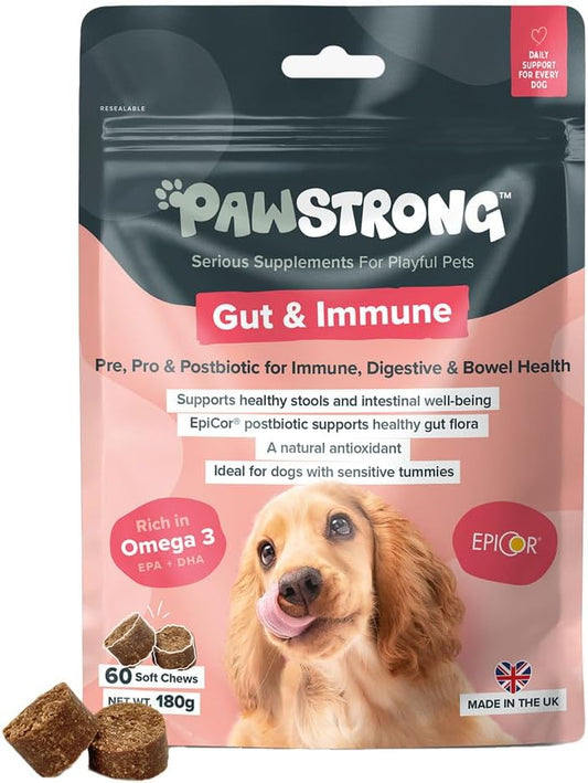 Pawstrong Gut & Immune Supplement For Dogs 180g