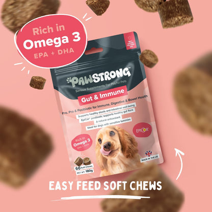 Pawstrong Gut & Immune Supplement For Dogs 180g
