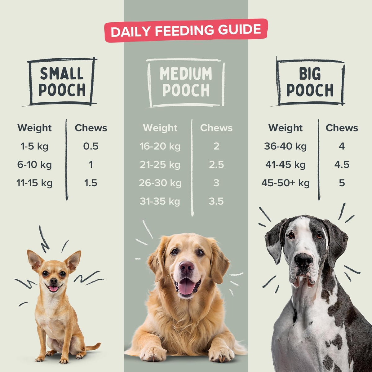 Pawstrong Gut & Immune Supplement For Dogs 180g