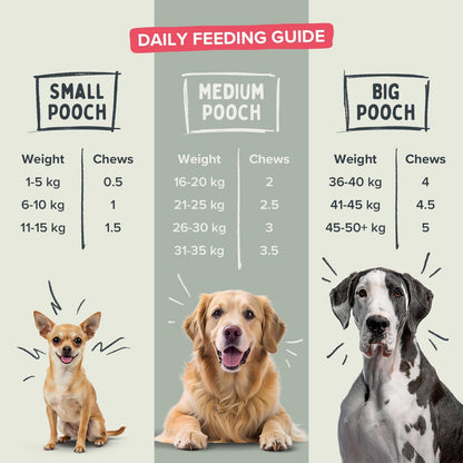 Pawstrong Gut & Immune Supplement For Dogs 180g