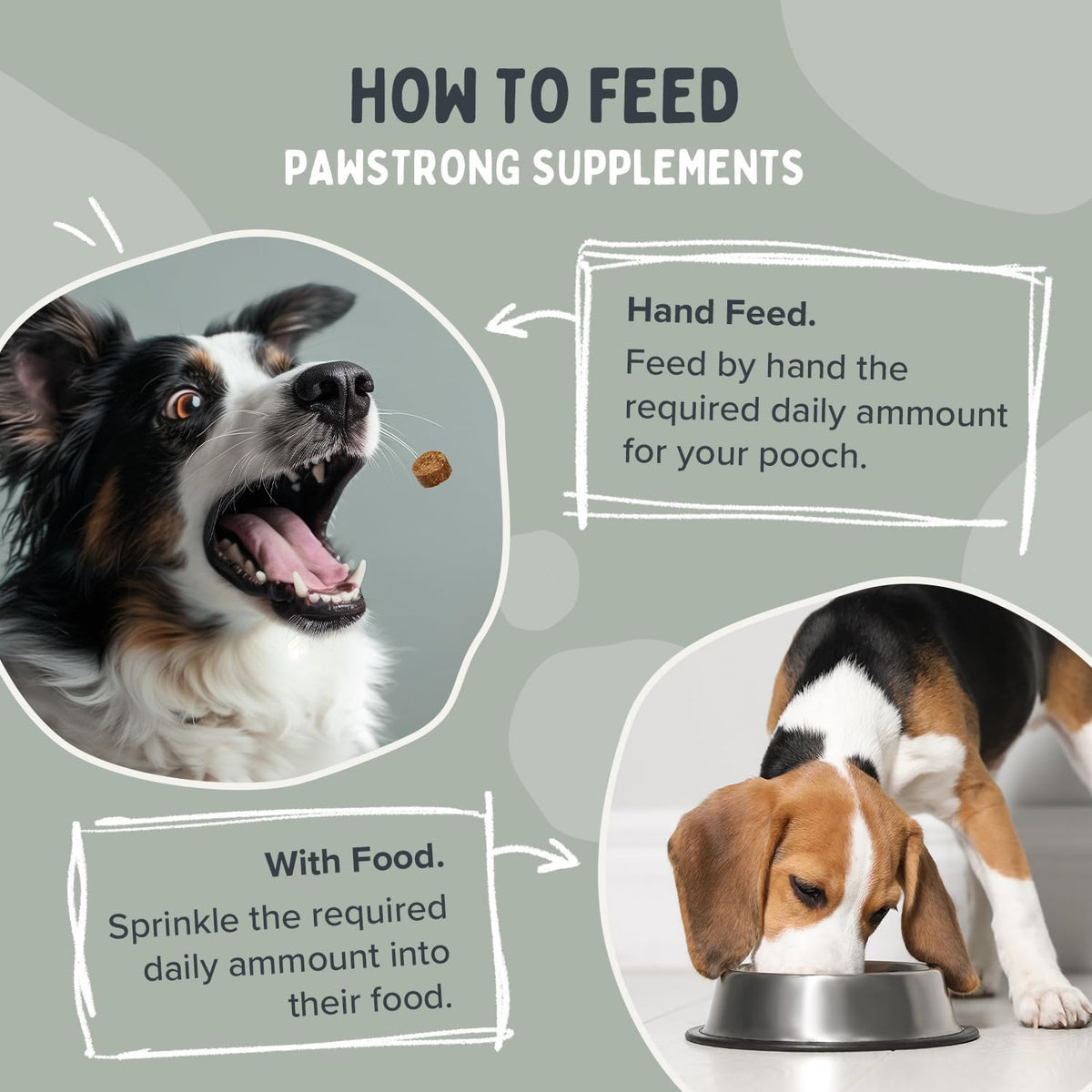 Pawstrong Gut & Immune Supplement For Dogs 180g