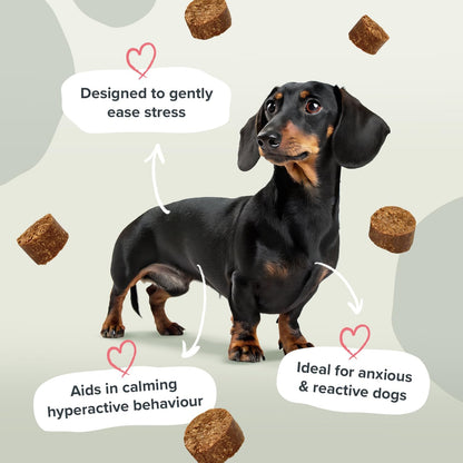 Pawstrong Calming & Anxiety Supplement For Dogs 180g