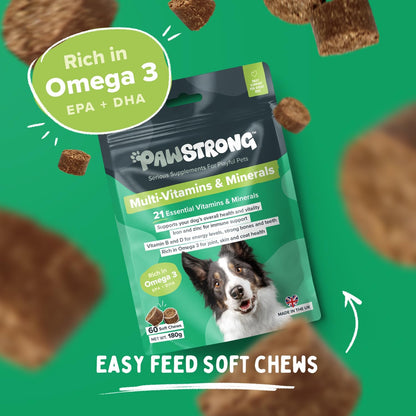 Pawstrong Multi Vitamins & Minerals Supplement For Dogs 180g