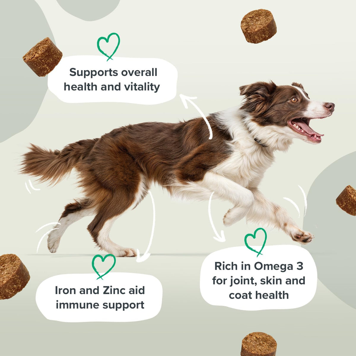 Pawstrong Multi Vitamins & Minerals Supplement For Dogs 180g