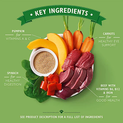 Lilys Kitchen Beef Goulash Wet Dog Food 150g