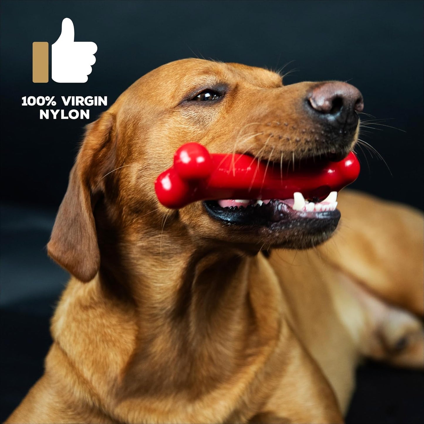 TastyBone Large Beef Nylon Dog Chew Toy