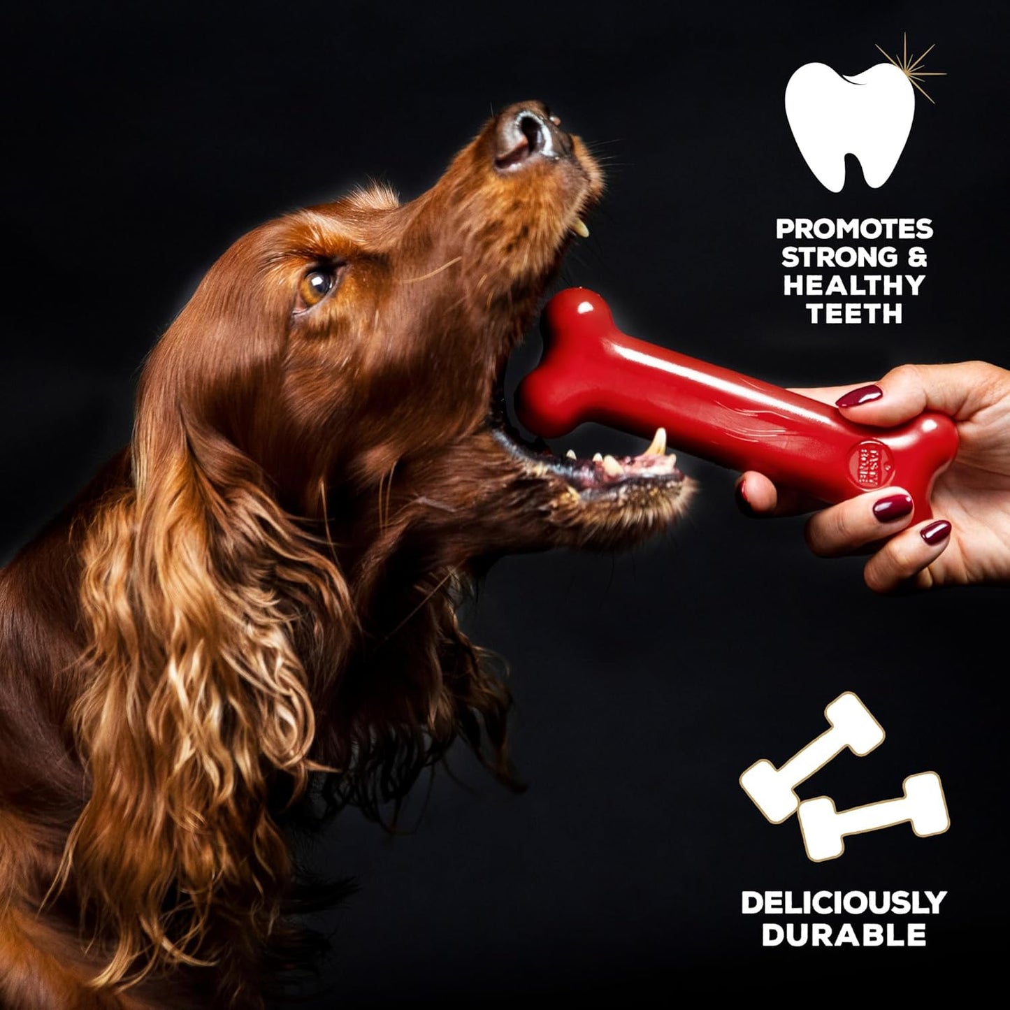 TastyBone Large Beef Nylon Dog Chew Toy