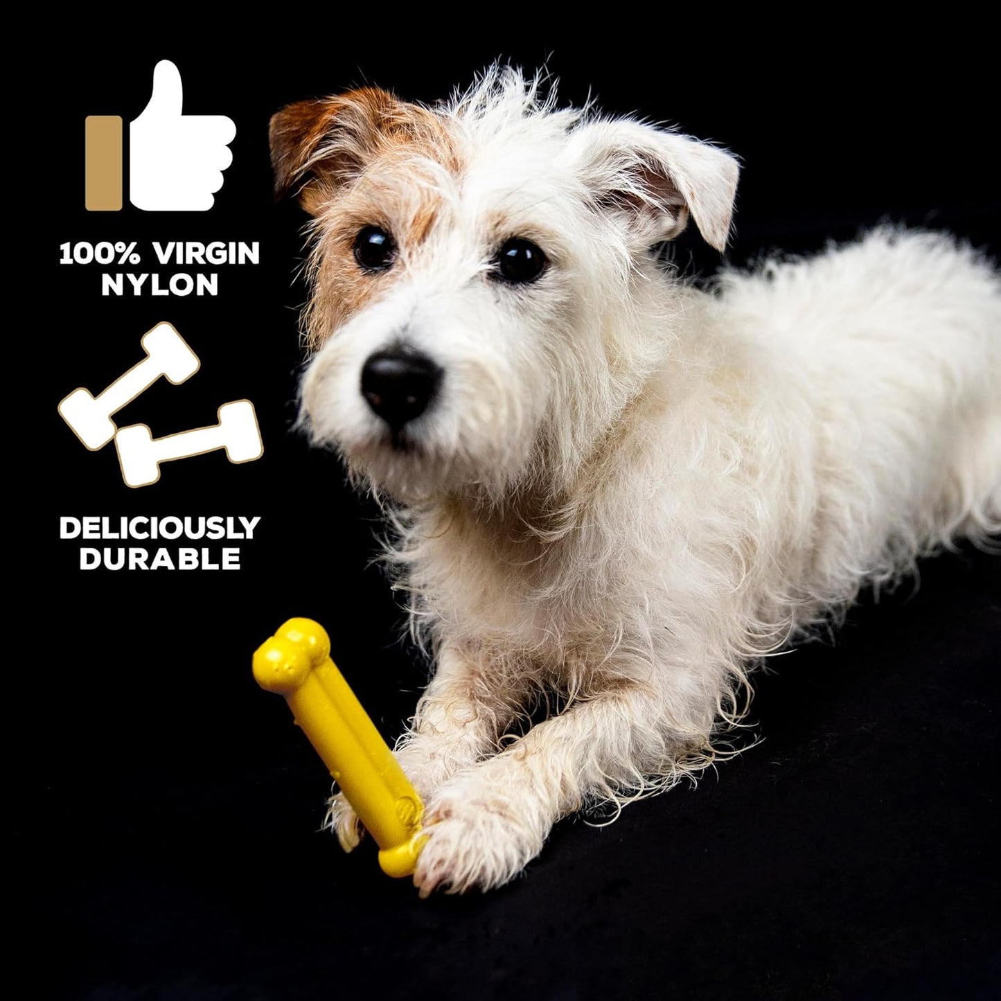 Tastybone Toy Chicken