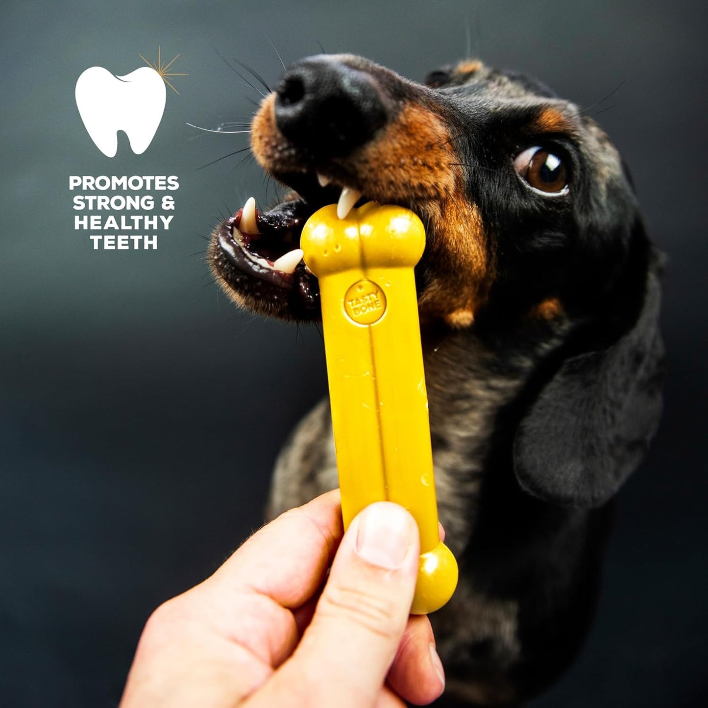 Tastybone Toy Chicken