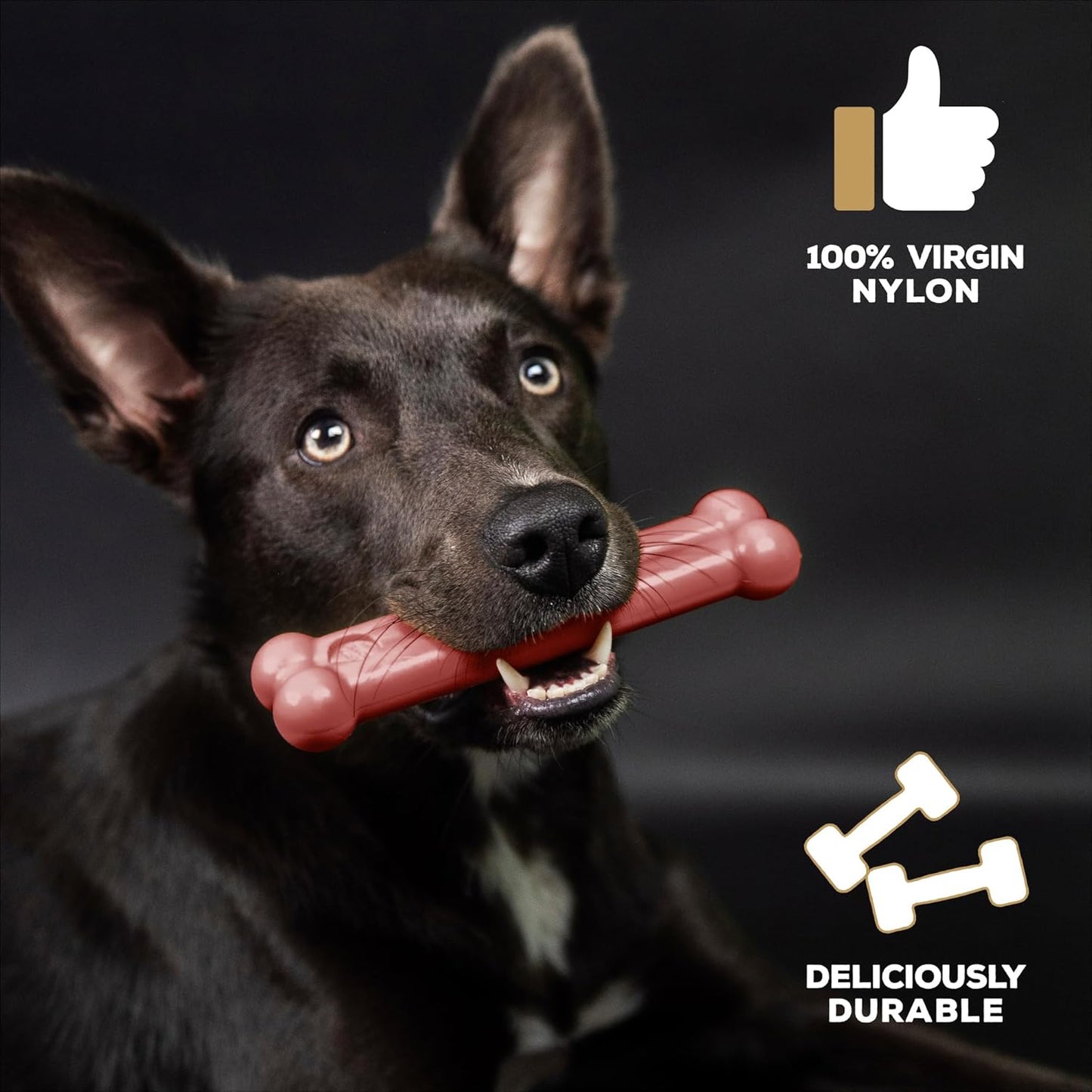 Tastybone Bone Small Bacon