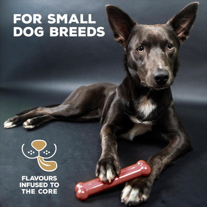 Tastybone Bone Small Bacon