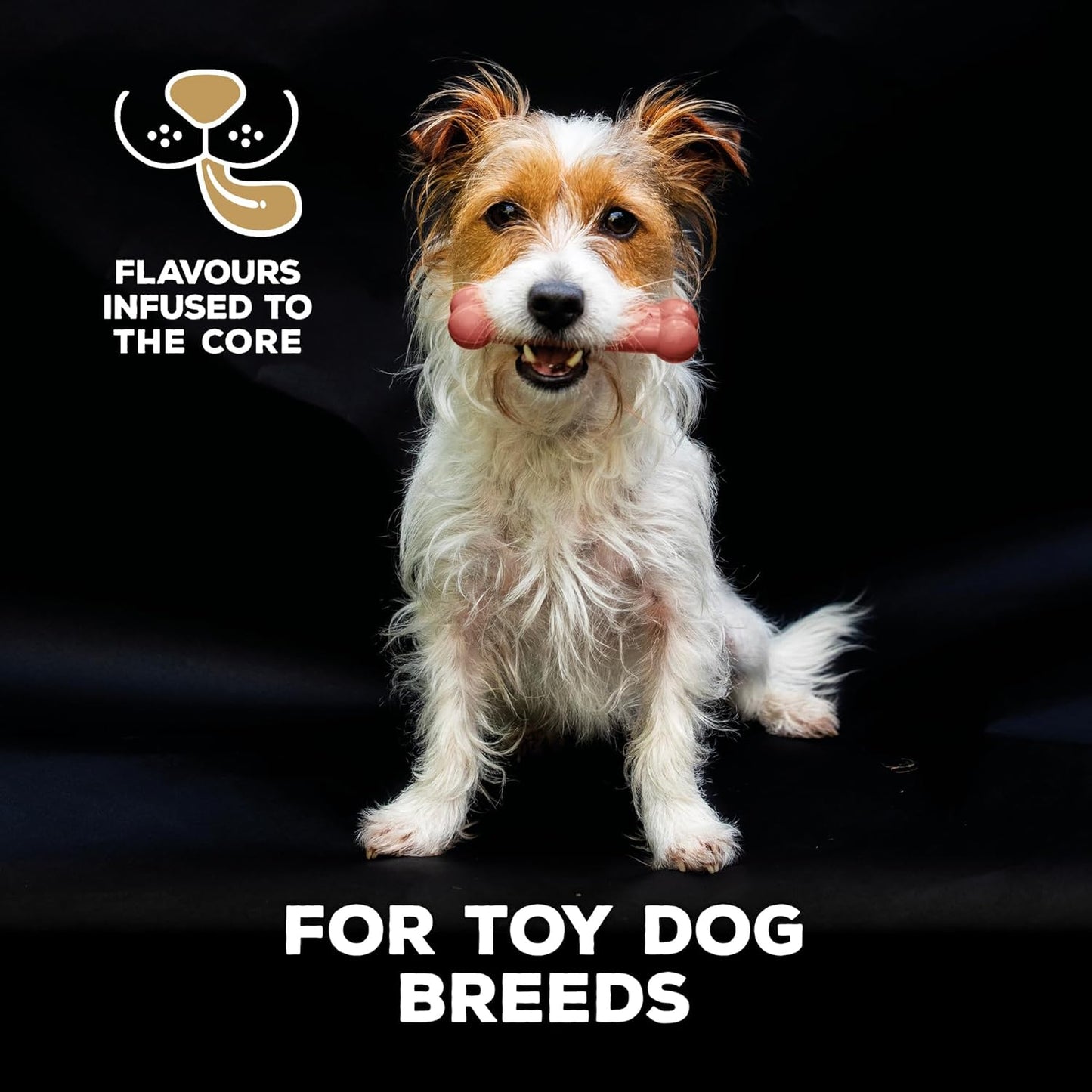 Tastybone Toy Bacon