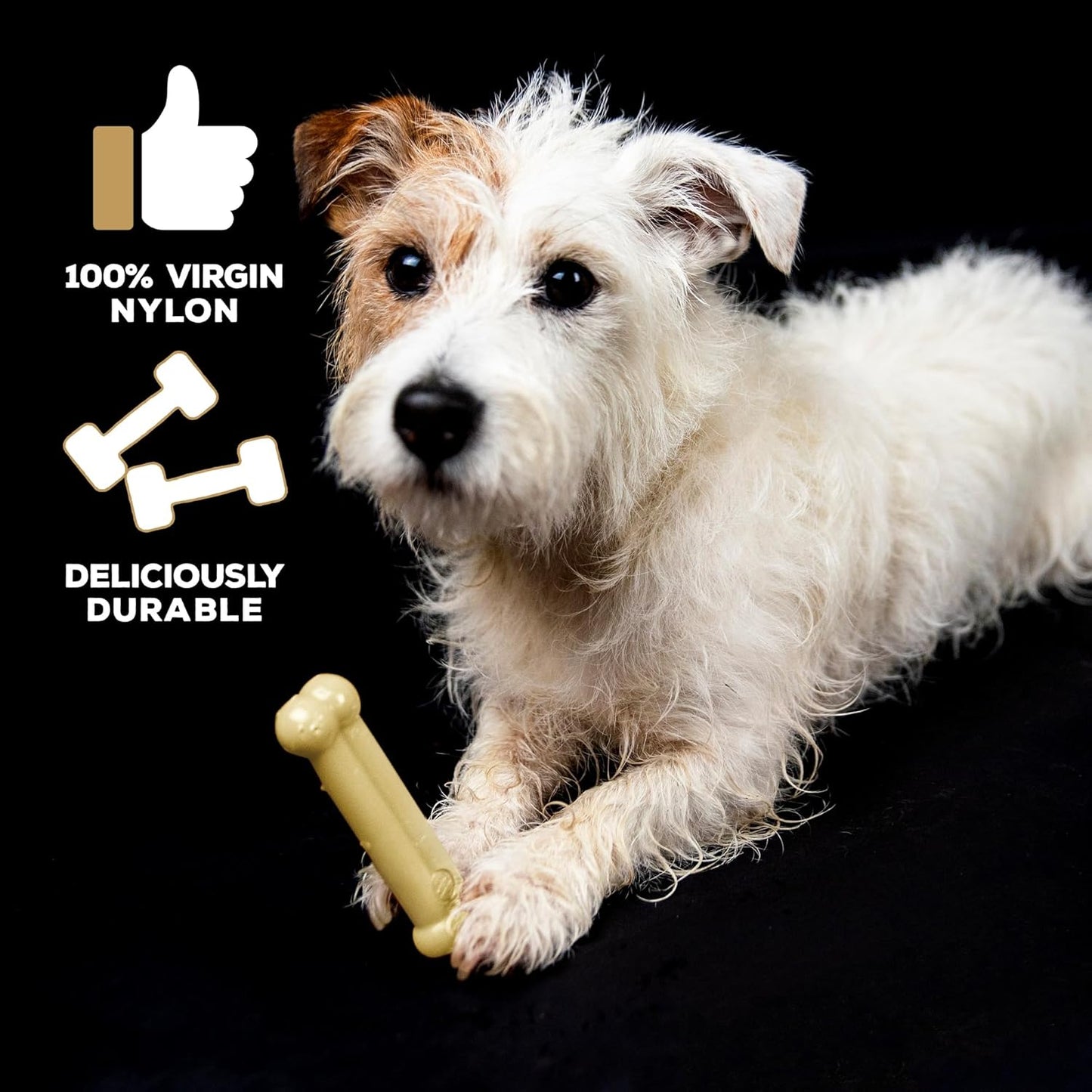 Tastybone Toy Dog Cheese