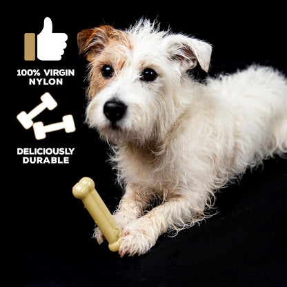 Tastybone Toy Dog Cheese