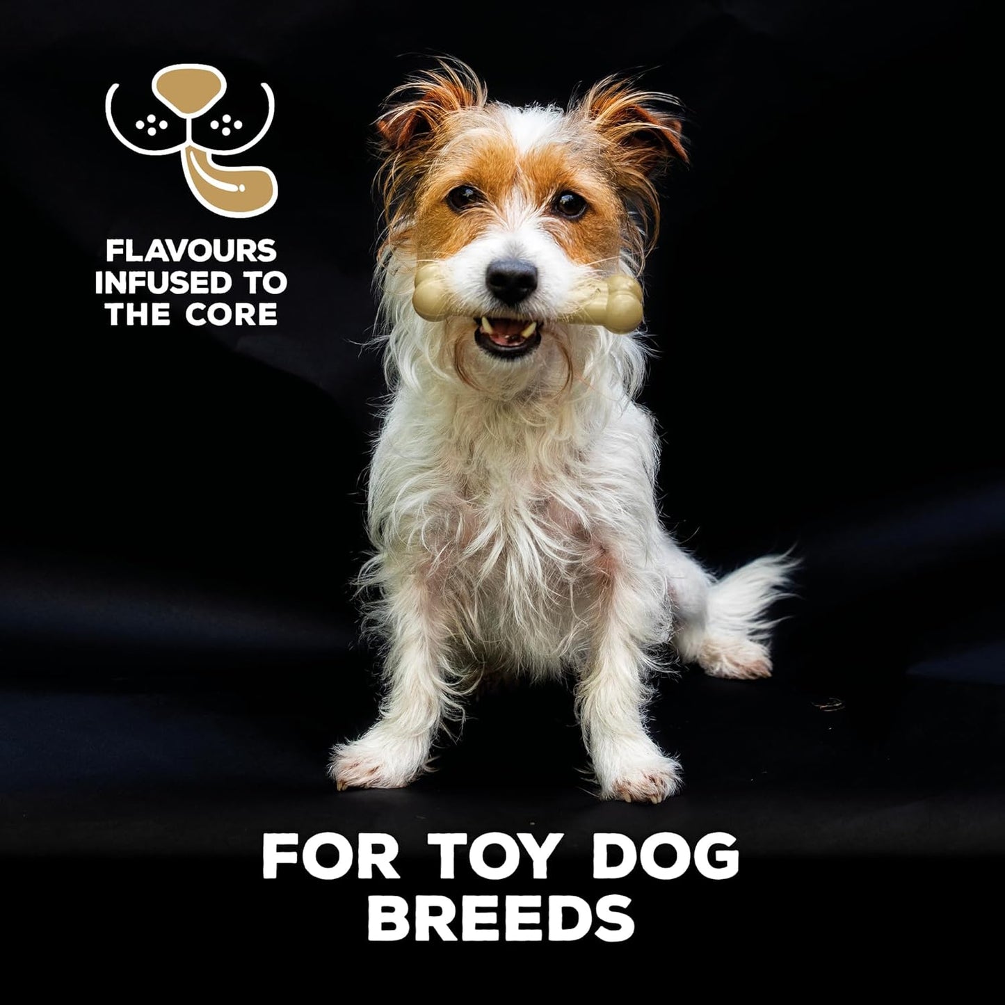Tastybone Toy Dog Cheese