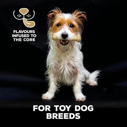 Tastybone Toy Dog Cheese