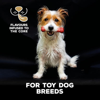 Tastybone Toy Beef