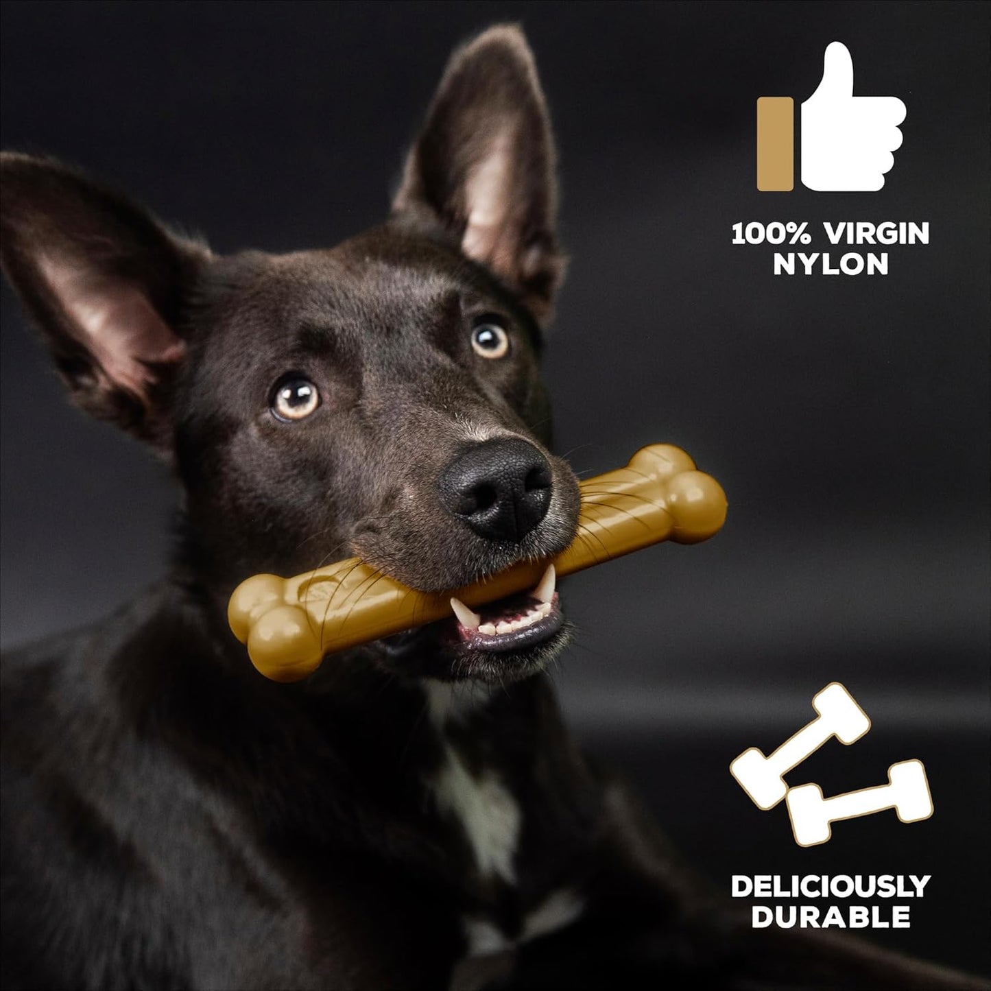 Tastybone Peanut Butter Small