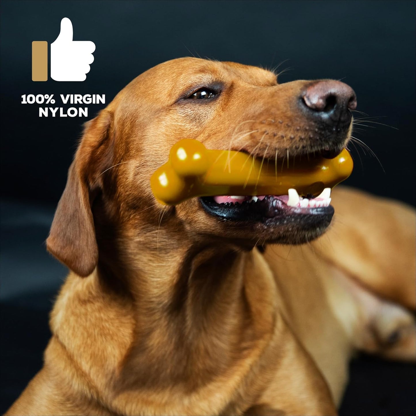 Tastybone Large Peanut Butter