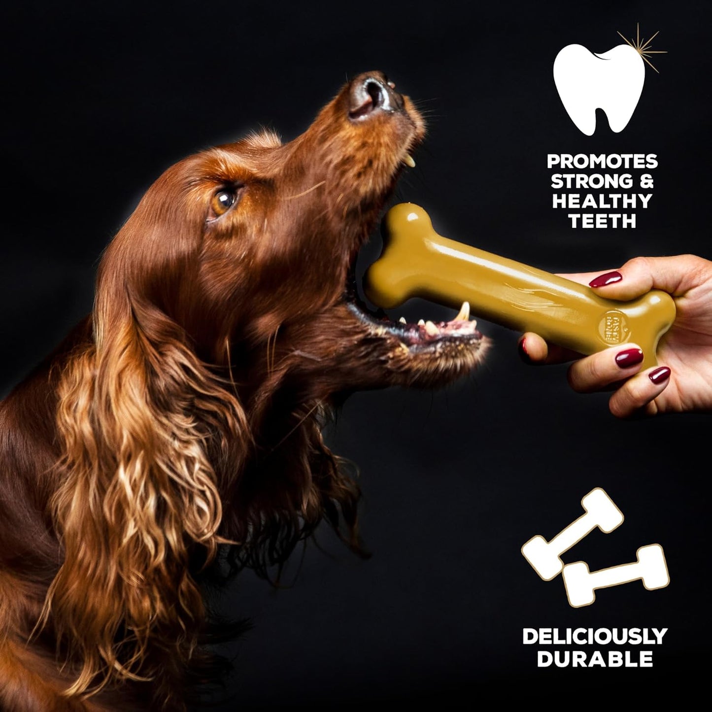 Tastybone Large Peanut Butter