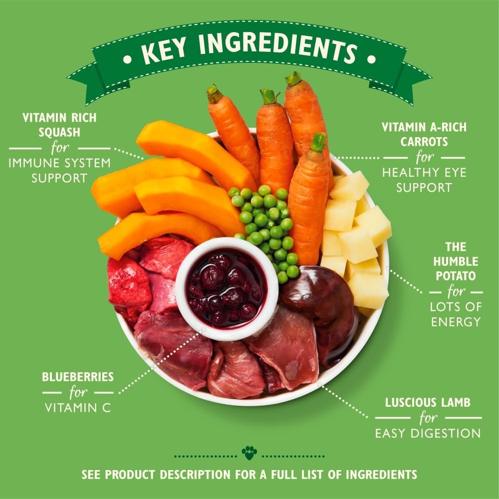 Lilys Kitchen Lamb Hotpot Wet Dog Food 150g