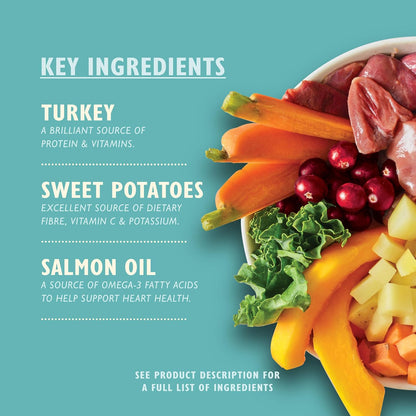 Lilys Kitchen Puppy Recipe With Turkey & Duck Wet Puppy Food 150g