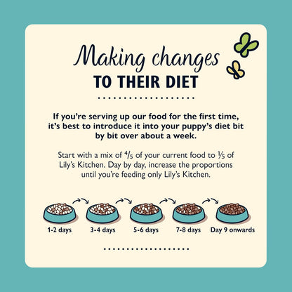 Lilys Kitchen Puppy Recipe With Turkey & Duck Wet Puppy Food 150g