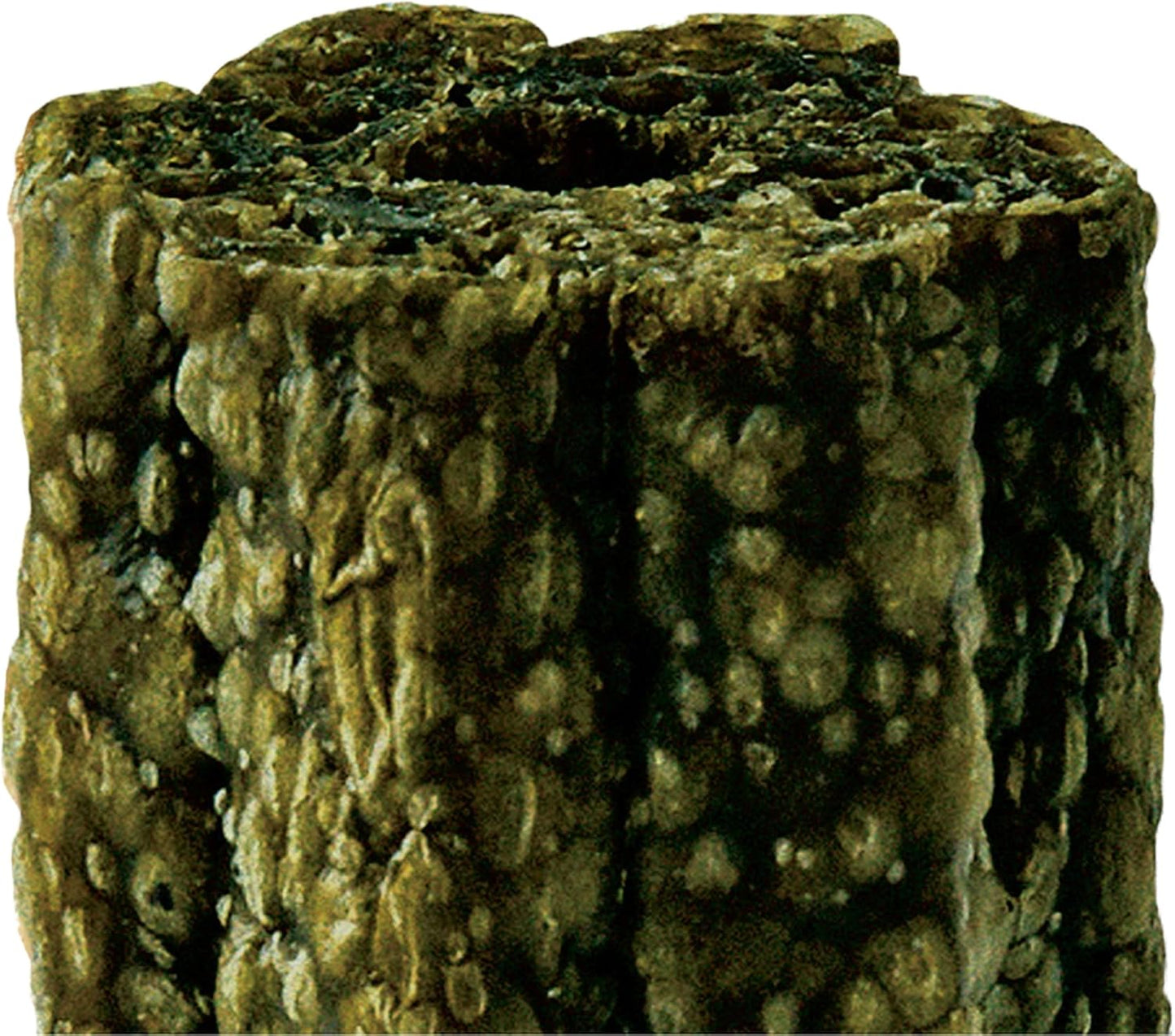 Lilys Kitchen Woof Brush Dental Chew Medium 7 Pack