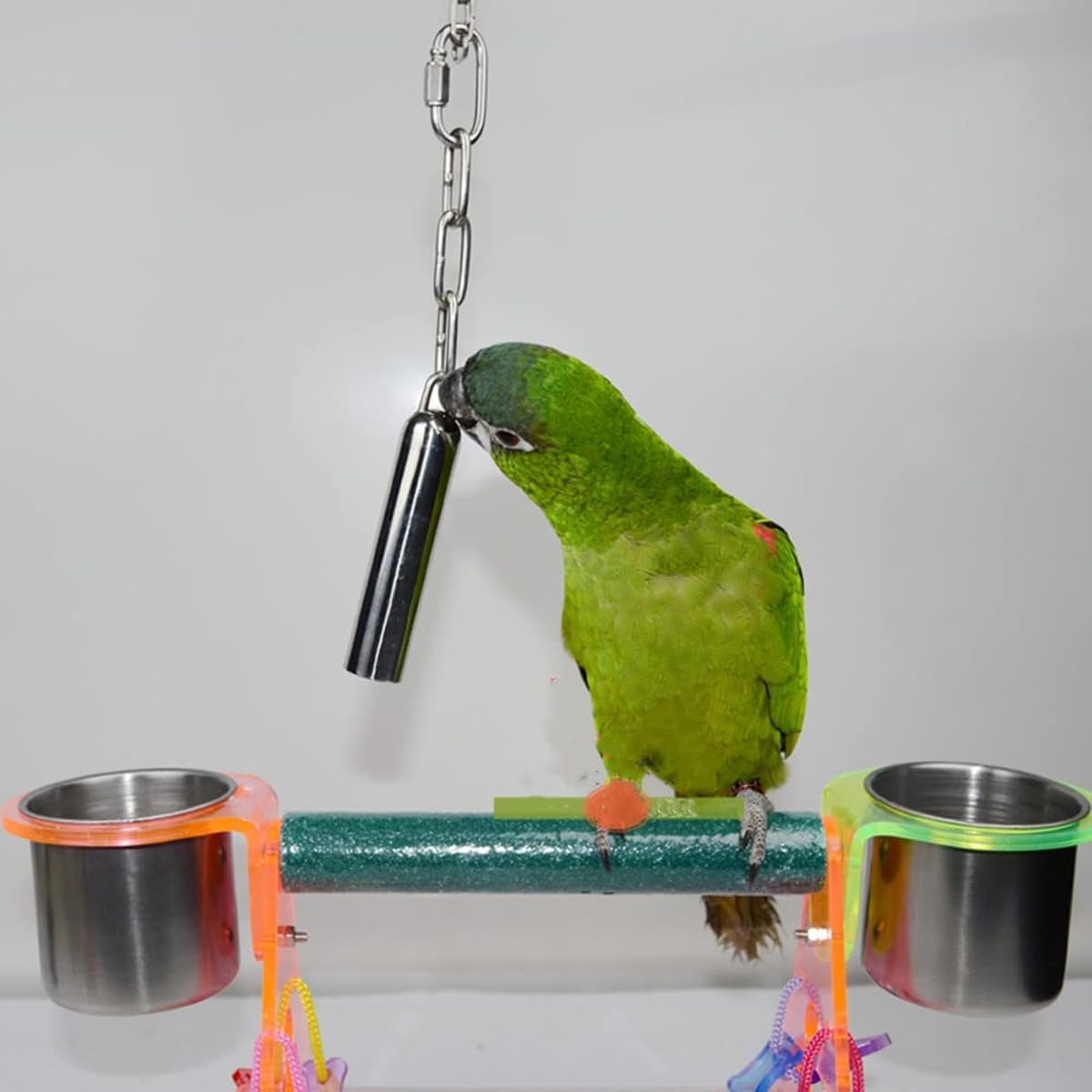 Sky Pets Stainless Steel Parrot Bell