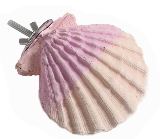 Adventure Bound Edible Calcium Clam Small