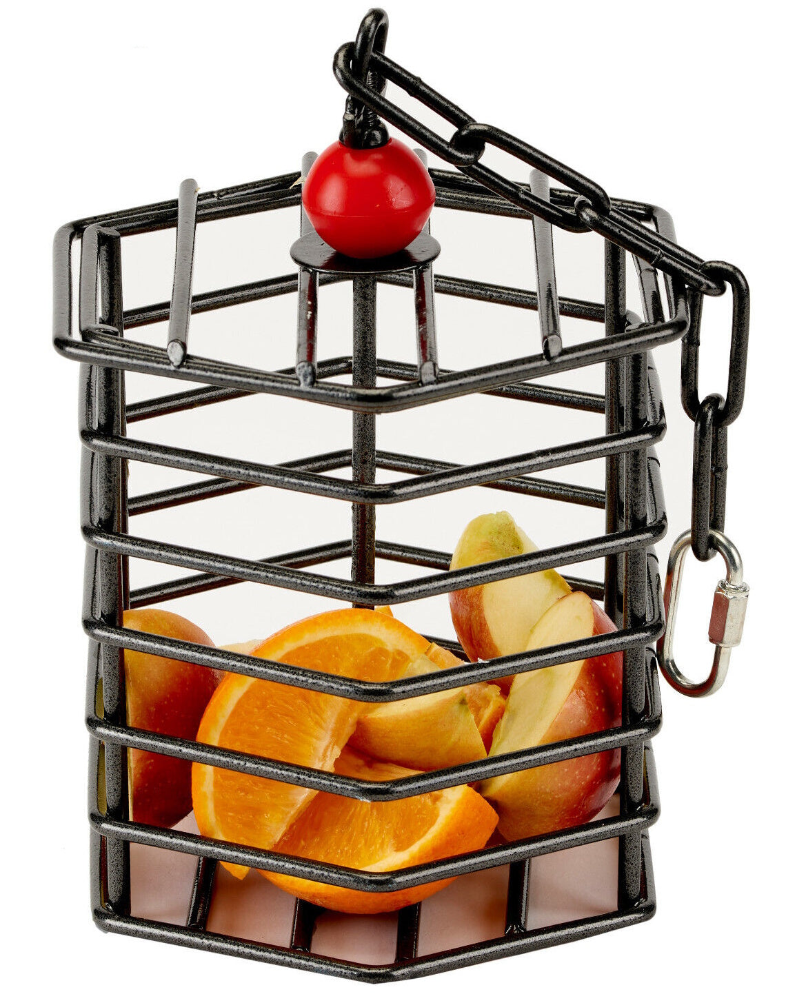 Adventure Bound Metal Parrot Treat Feeder