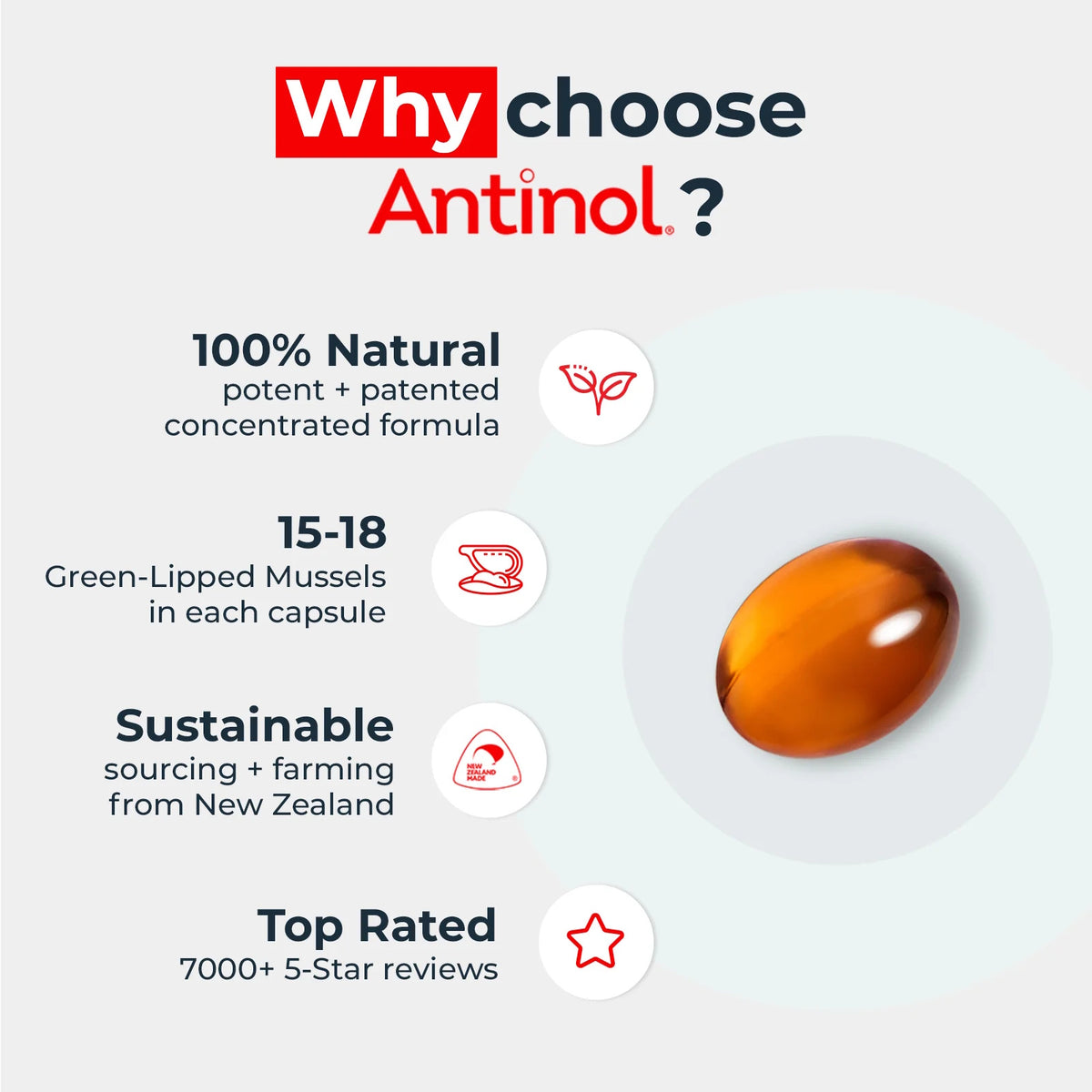 Antinol 100% Natural Joint Care Pro For Dogs 60 Capsules