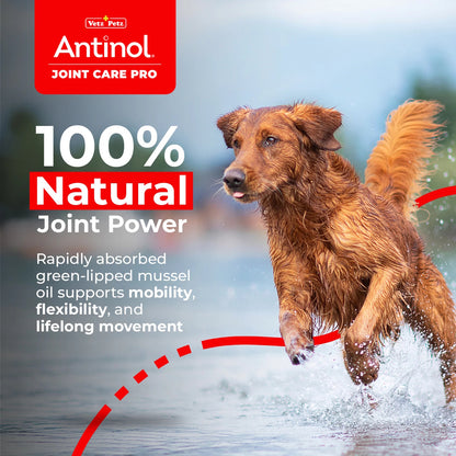 Antinol 100% Natural Joint Care Pro For Dogs 60 Capsules