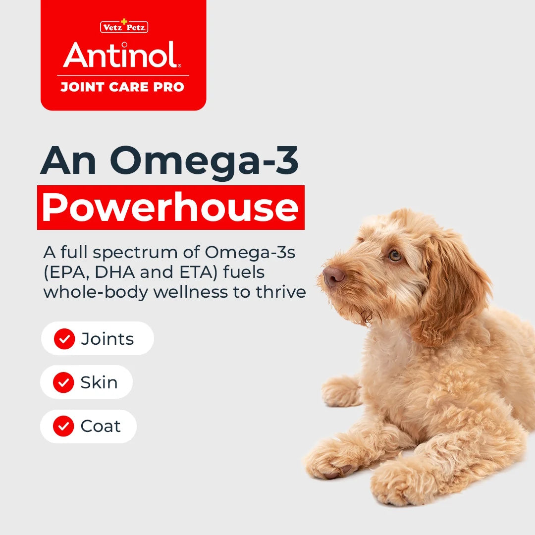 Antinol 100% Natural Joint Care Pro For Dogs 60 Capsules