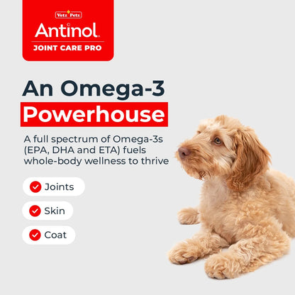 Antinol 100% Natural Joint Care Pro For Dogs 60 Capsules