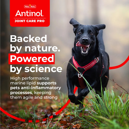 Antinol 100% Natural Joint Care Pro For Dogs 60 Capsules