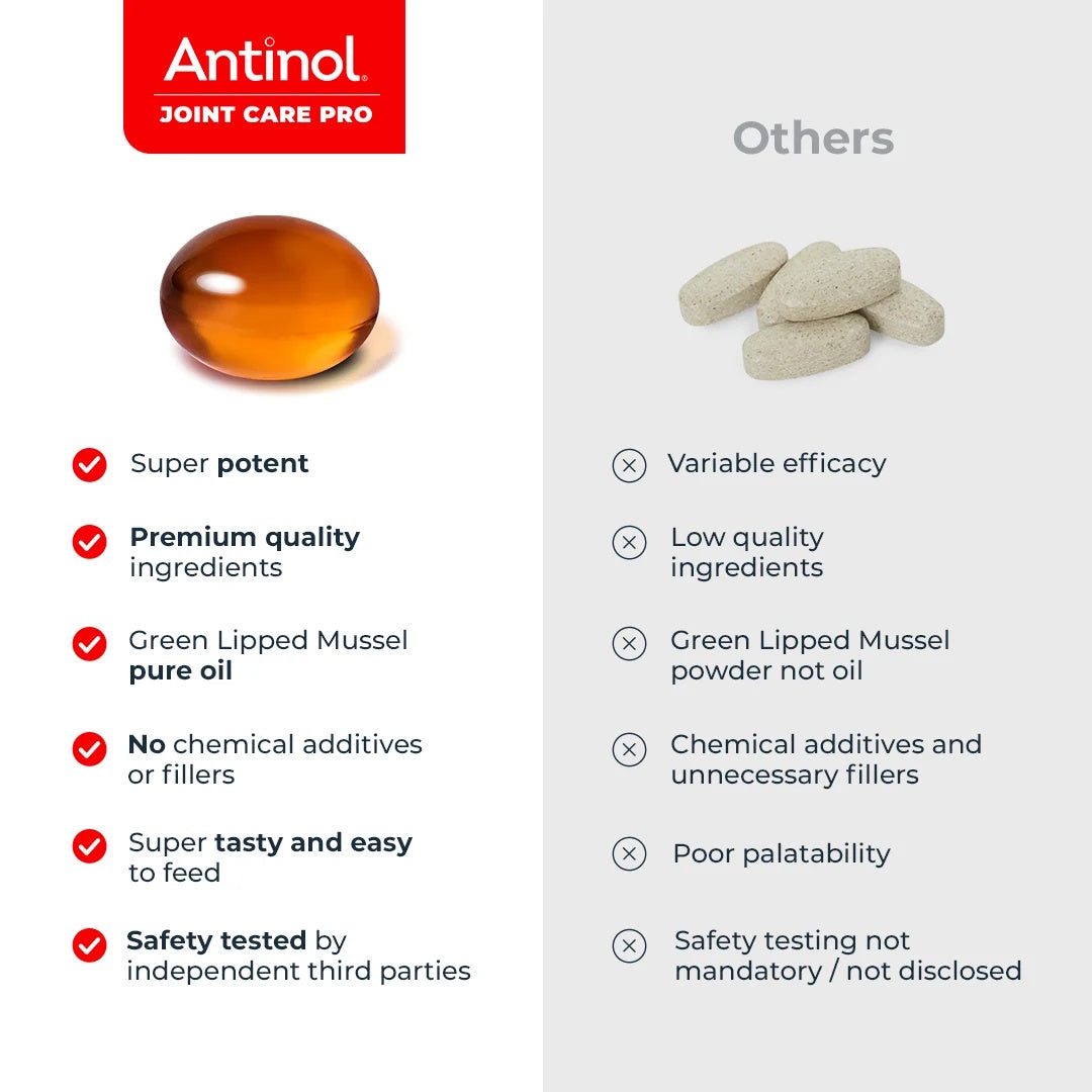 Antinol 100% Natural Joint Care Pro For Dogs 60 Capsules