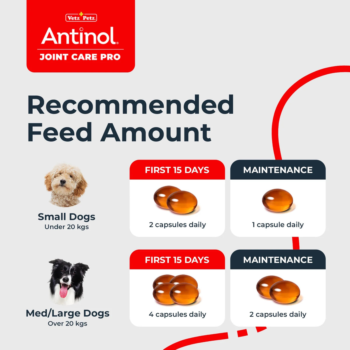 Antinol 100% Natural Joint Care Pro For Dogs 60 Capsules