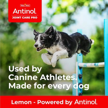 Antinol 100% Natural Joint Care Pro For Dogs 60 Capsules