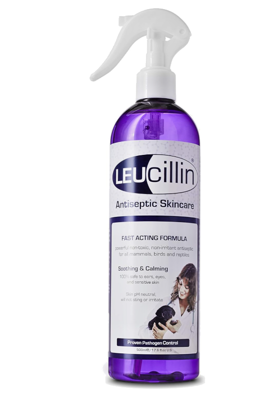 Leucillin Antiseptic Spray 500ml