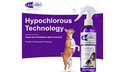 Leucillin Antiseptic Spray 500ml