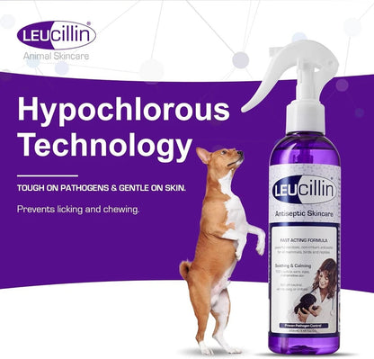 Leucillin Antiseptic Spray 150ml