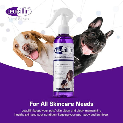 Leucillin Antiseptic Spray 150ml