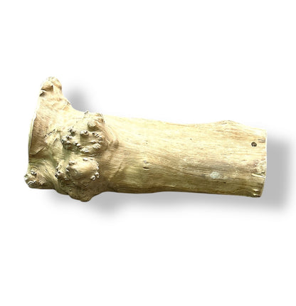 Wundapets Java Wood Hideout Large