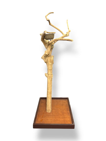 Wundapets Java Wood Midi Tree