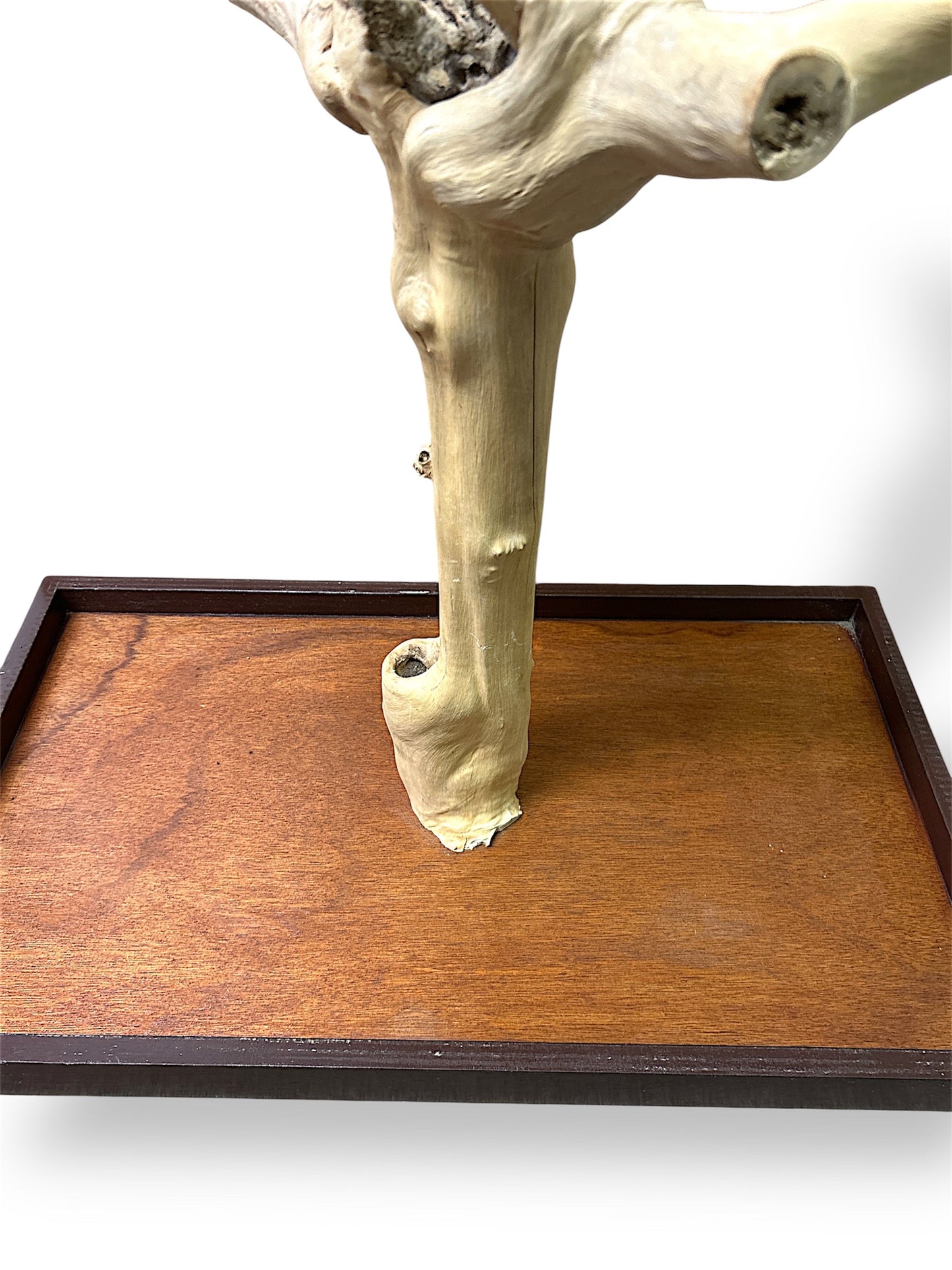 Wundapets Java Wood Table Top Stand Large