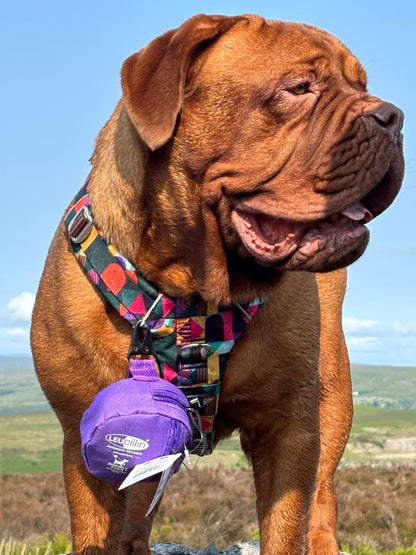 Leucillin Complete First Aid Kit For Dogs