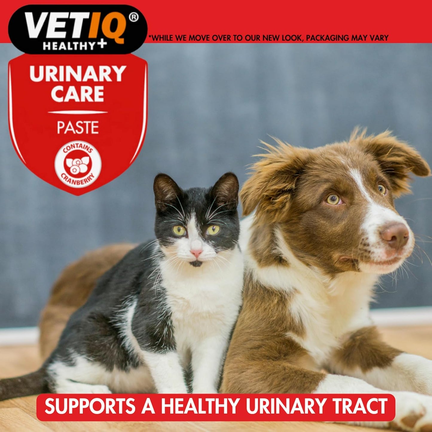 VetIQ Urinary Care Paste 100g