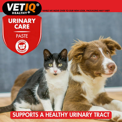 VetIQ Urinary Care Paste 100g